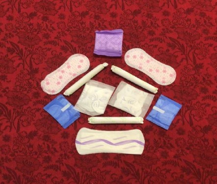 Soroptimist Canada Online Club Advocates Period Poverty Project/